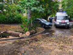 15.10.2025 спасатели Службы спасения г. Краснодара произвели распиловку аварийного дерева на улице Селезнева.